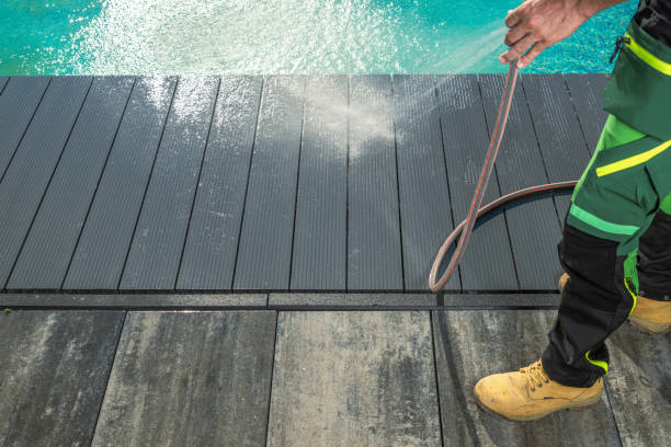 Best Roof Pressure Washing  in Robbinsdale, MN