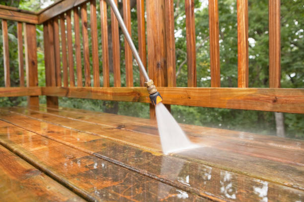 Best Roof Power Washing Services  in Robbinsdale, MN